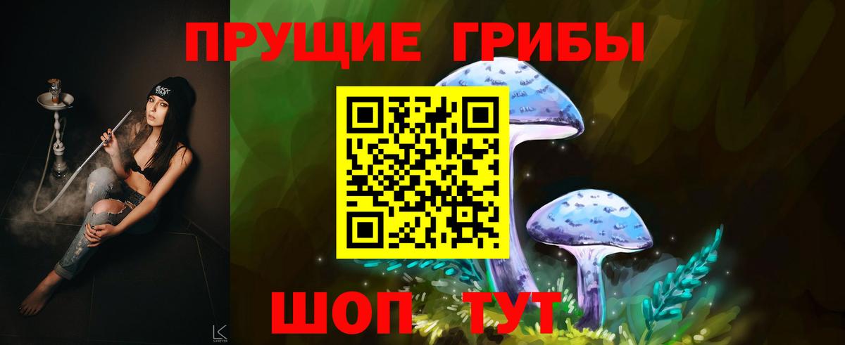 Нижний Новгород  Галлюциногенные грибы мицелий  наркошоп  Вход с VPN  Галлюциногенные грибы Psilocybe 